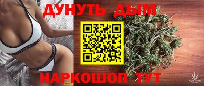 крисы Кимры