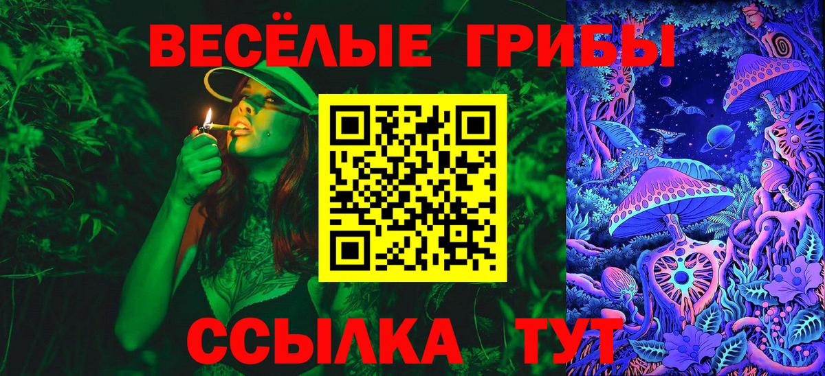 Галлюциногенные грибы GOLDEN TEACHER  магазин  наркотиков  Кстово  Вход с VPN 