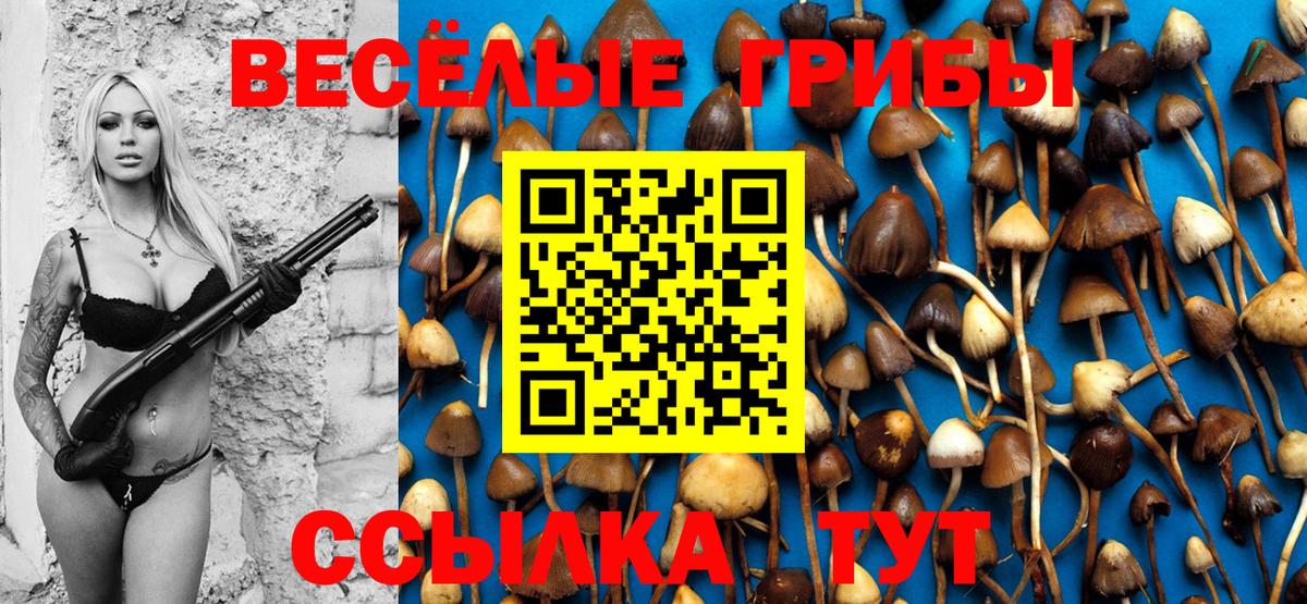 Псилоцибиновые грибы мухоморы Кстово